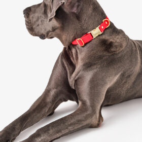 Collar con clip Sevilla