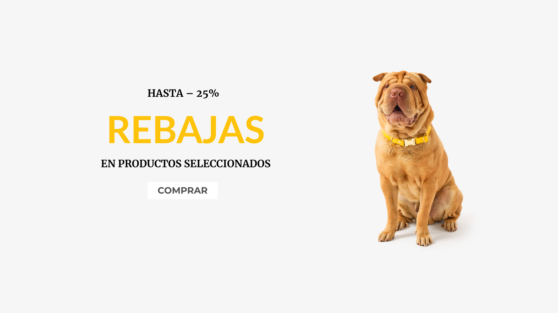 ofertas de verano belka perro