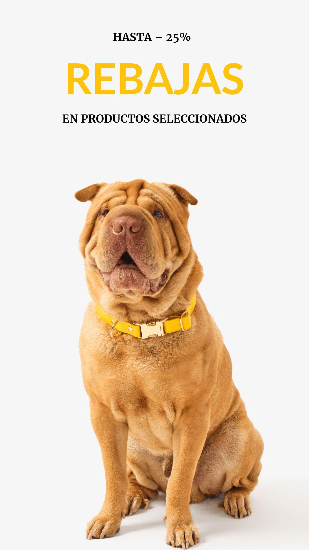 ofertas de verano belka perro
